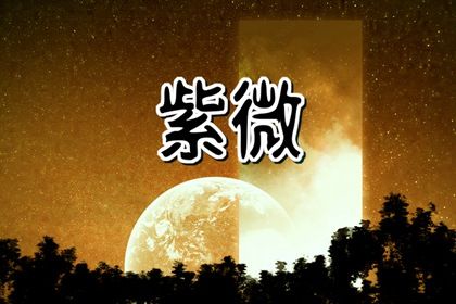 能住豪宅的紫微命格 哪些命格富裕有豪宅 能住豪宅的紫微命格 哪些命格富裕有豪宅