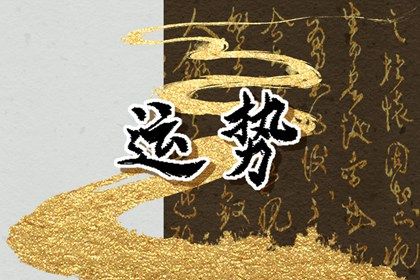 2024年会闪婚的星座 2024婚姻运最旺的星座 2024年会闪婚的星座 2024婚姻运最旺的星座