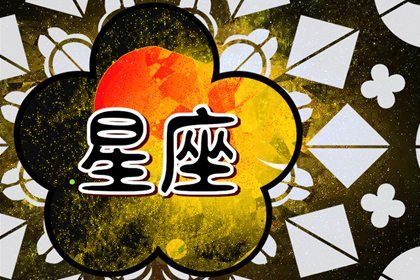 2024年学业最好的星座男 24年学习优异的星座